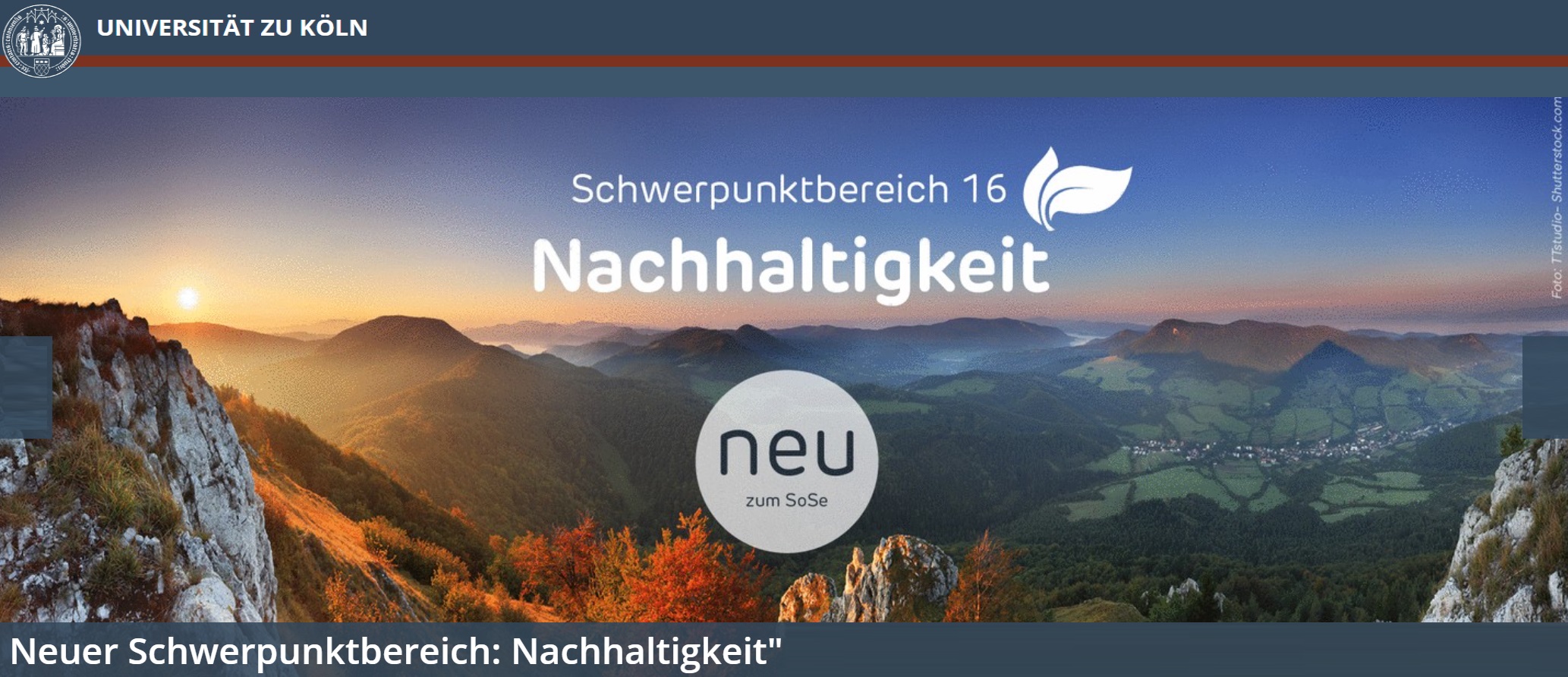 Neuer juristischer Schwerpunktbereich „Nachhaltigkeit“ an der Universität zu Köln