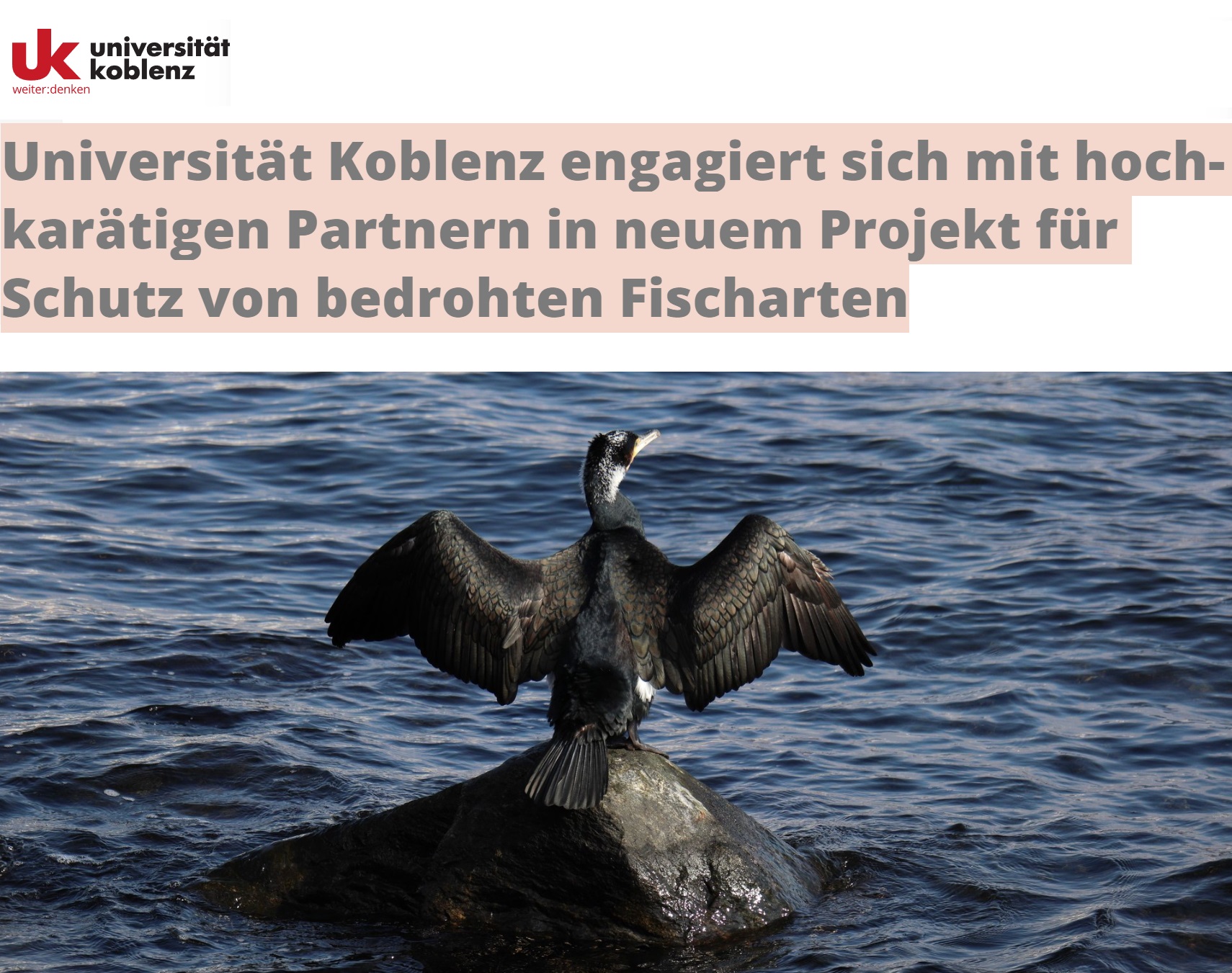Universität Koblenz engagiert sich in neuem Projekt für Schutz von bedrohten Fischarten